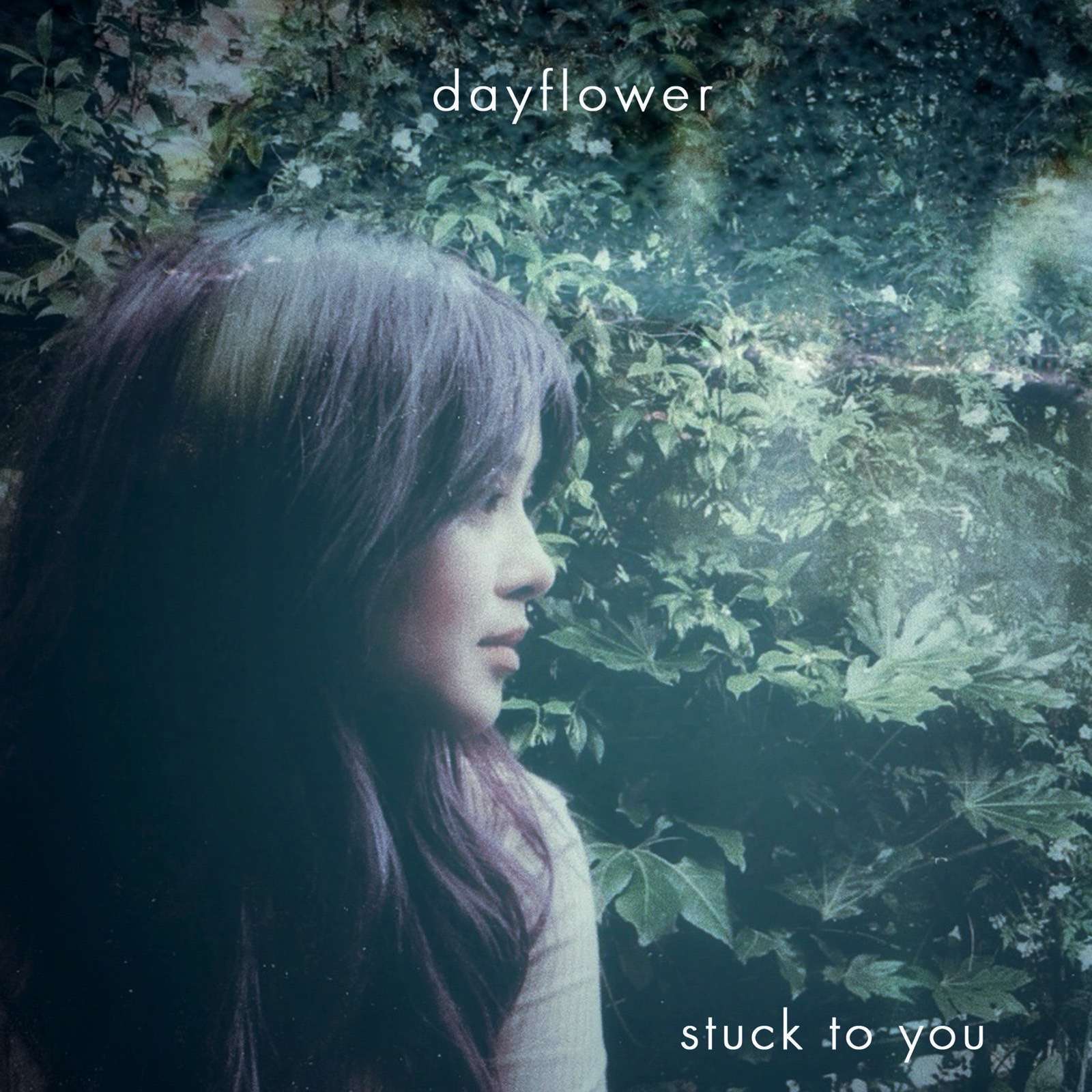 Dayflower Stuck To You Fadeawayradiate