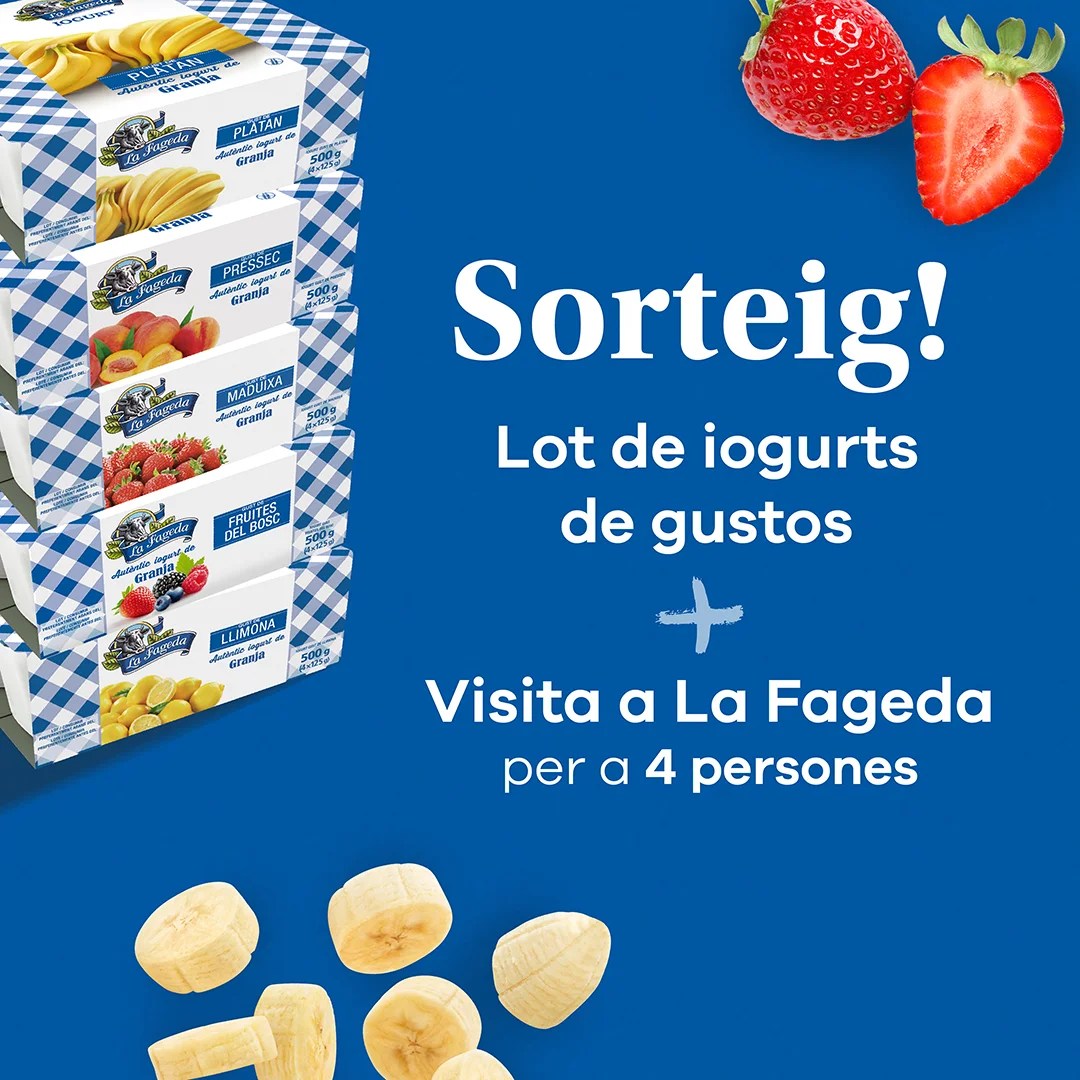 Bases legales del sorteo del lote de yogures de sabores y una visita a