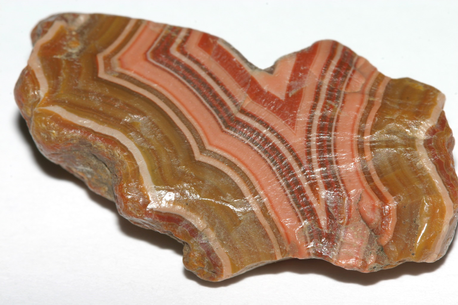 Fairburn Agate Gallery Page 2
