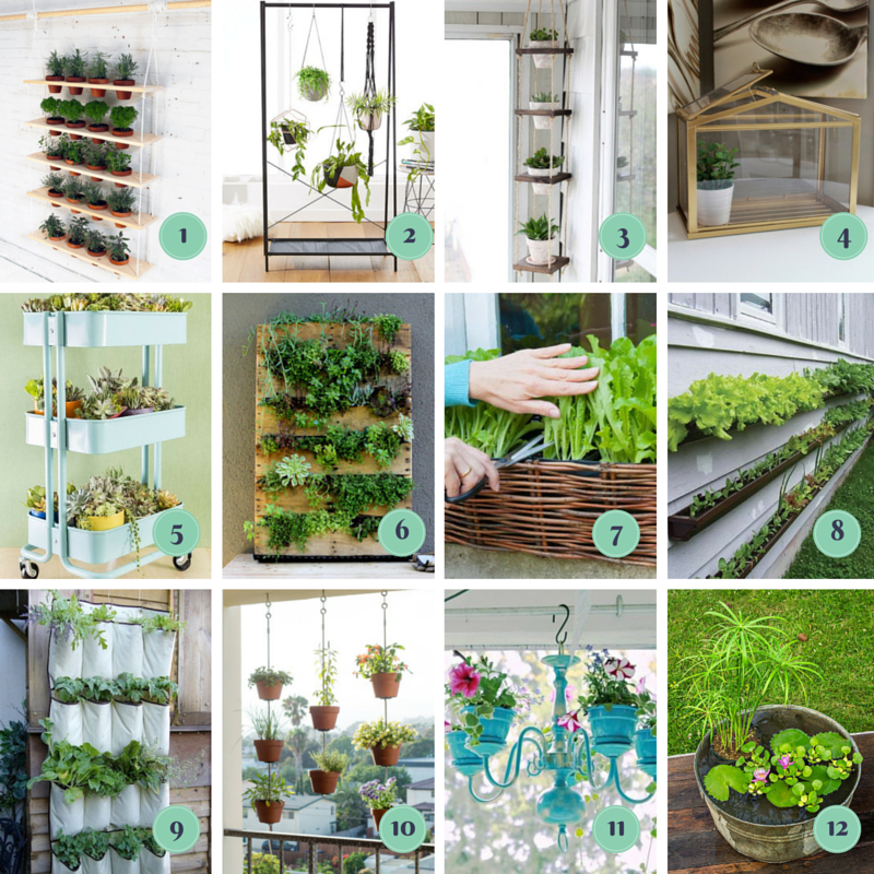 The 12 Best Indoor and Outdoor DIY Apartment Gardens Fairfield Residential