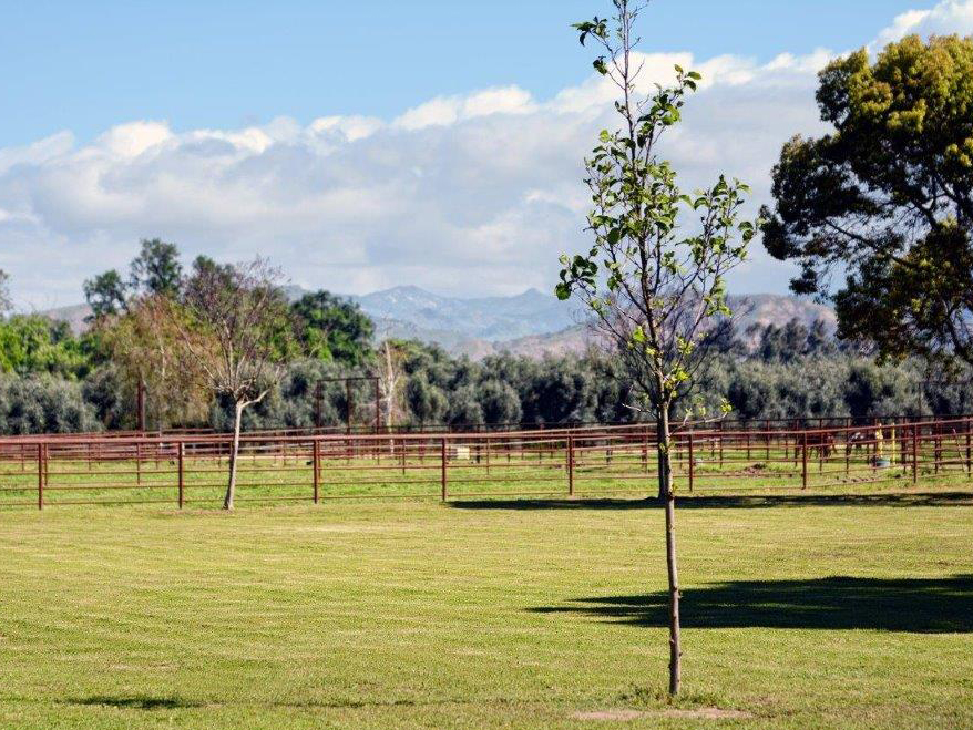 Fairlea Ranch Exeter Boarding Fairlea Ranch