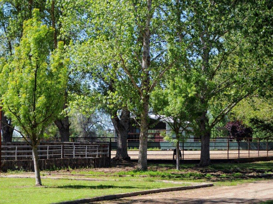 Fairlea Ranch Exeter Boarding Fairlea Ranch