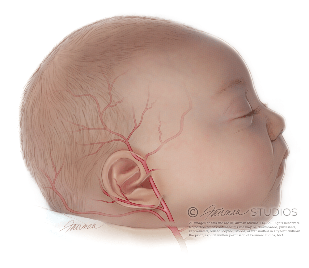 Infant Thermometer Position | Fairman Studios