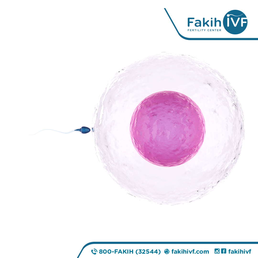 What are the benefits of egg freezing? Fakih IVF