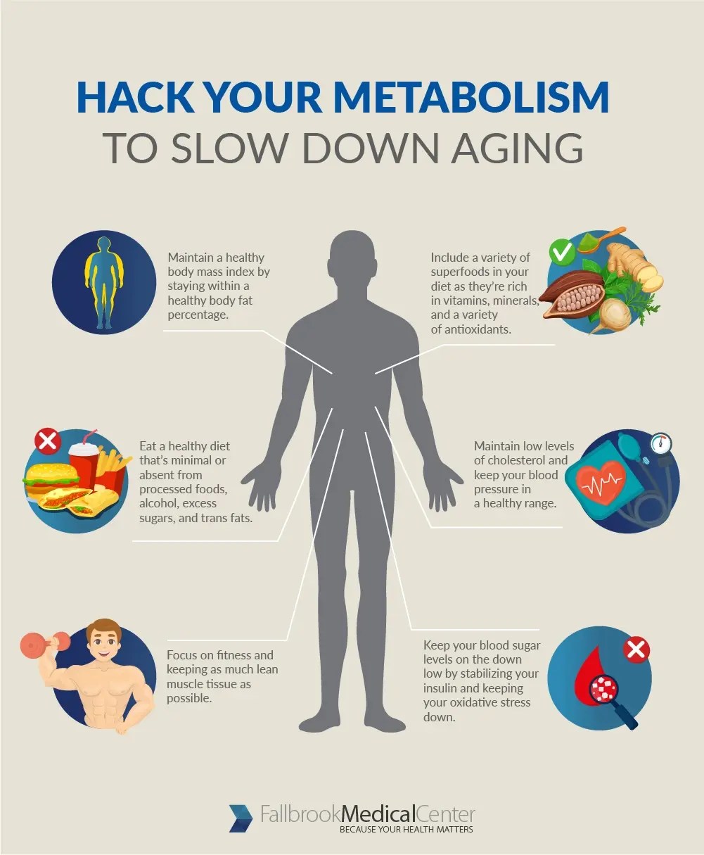 Hack Your Metabolism to Slow Down Aging Fallbrook Medical Center