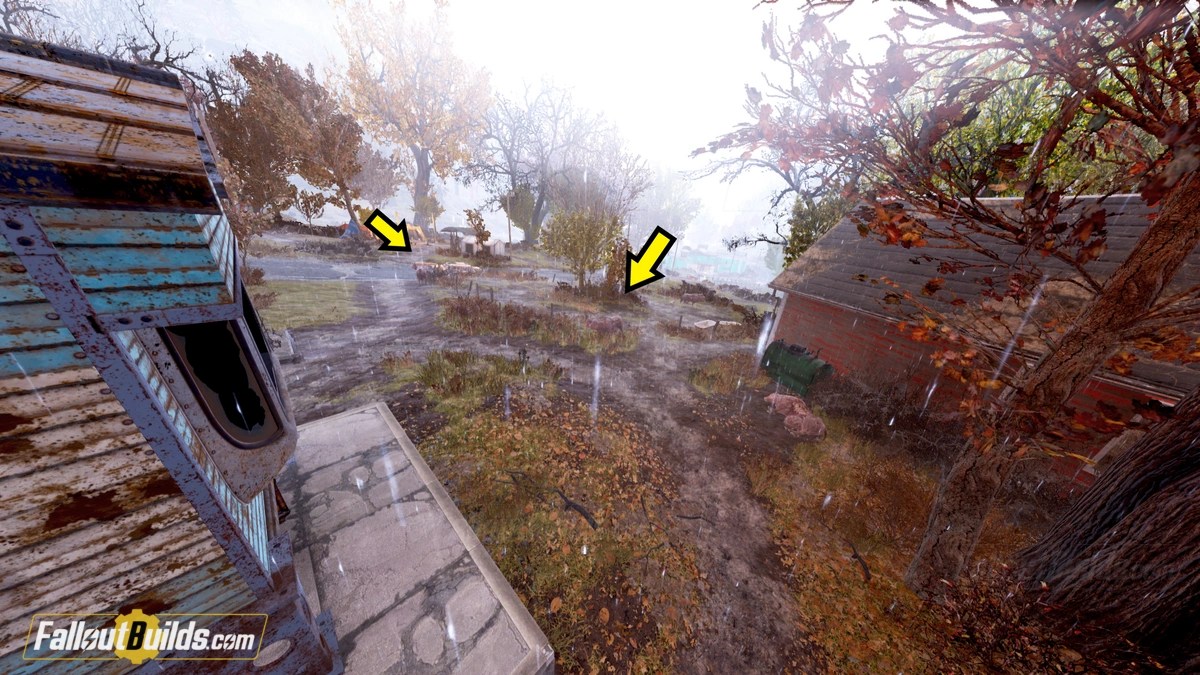 Fallout 76 Brahmin Locations Map