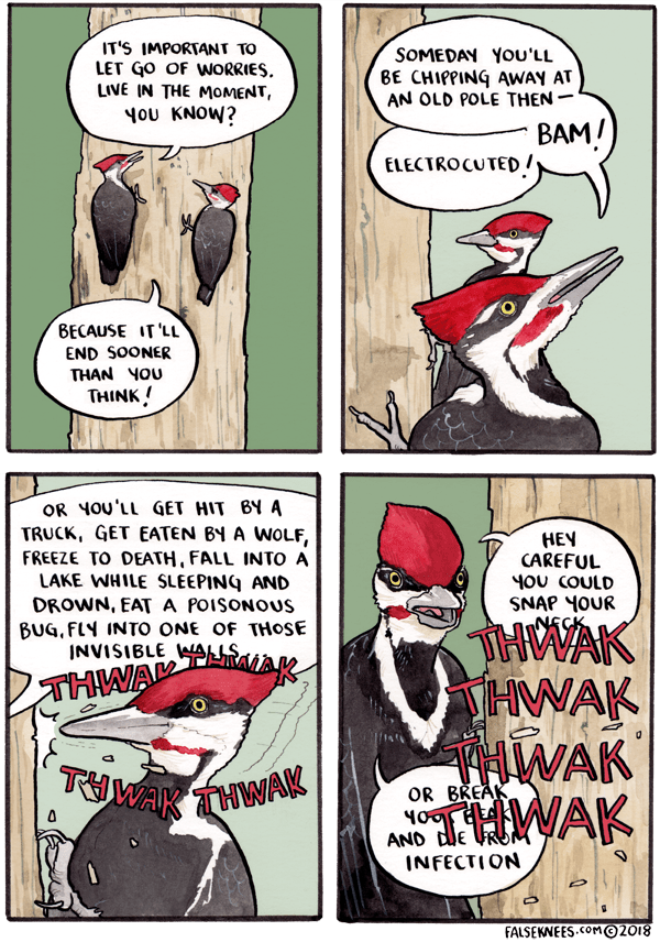 What Does Purple Knees Mean at Joanne Andrade blog