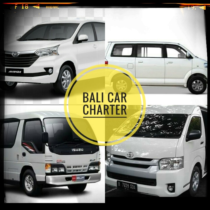 Bali Car Charter Private Tour Service Family Bali Tours