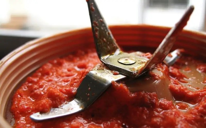 Why do Blender Blades Rust? 6 Easy Methods Family Guide Central