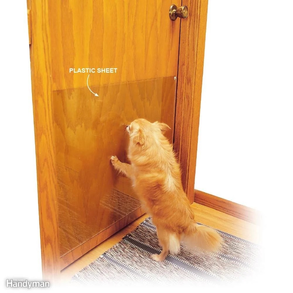 19 Cleaning Tips All Dog & Cat Owners Should Know Family