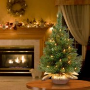 20 Small Christmas Tree Outdoor DECOOMO