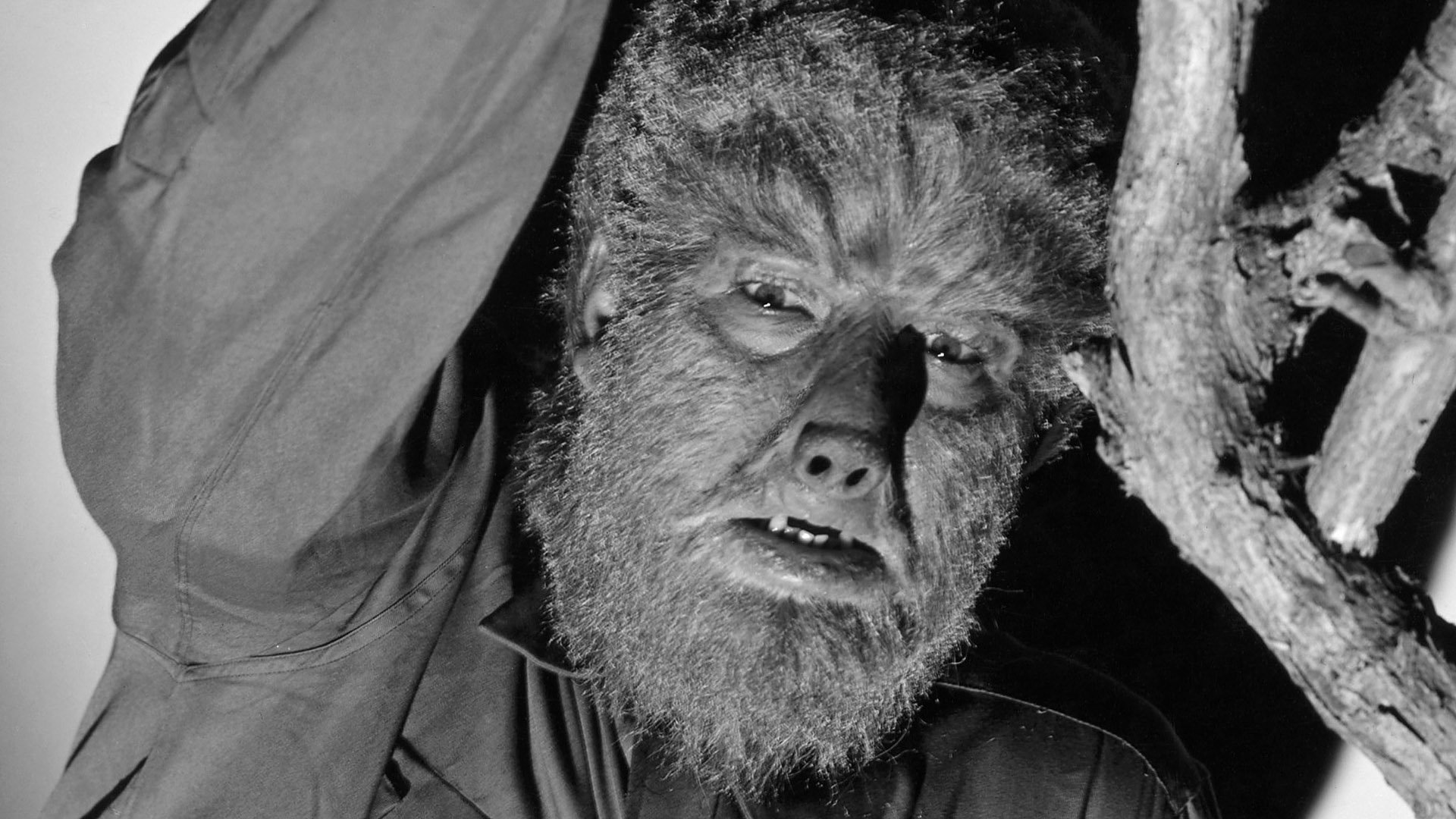 Universal Plans To Reboot The Wolf Man Again »