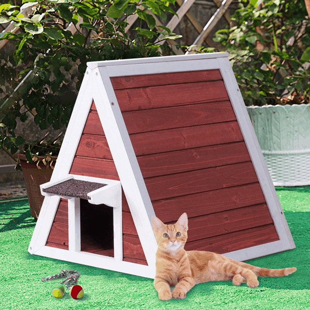 The Cutest Cat Condos You Can Get on Amazon