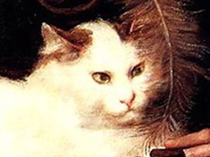 Fan Sitter Pet Care House Sitting Richmond VA