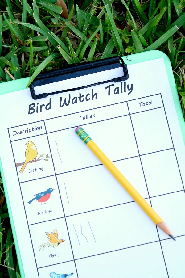 Free Printable Bird Watch Tally Sheet Fantastic Fun & Learning