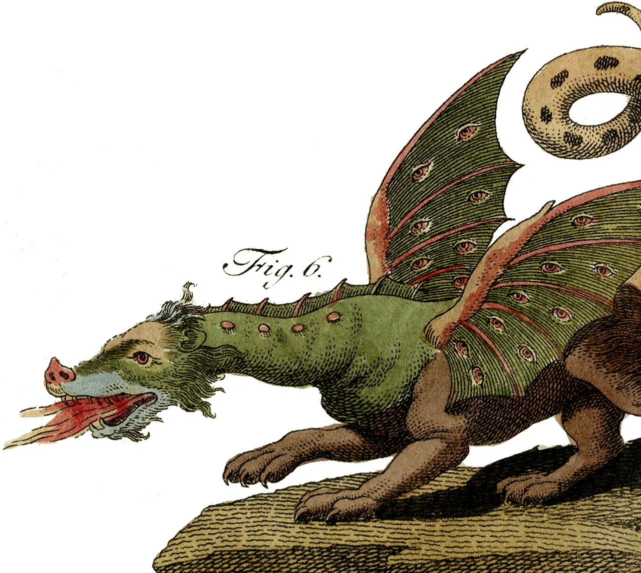 A Thunder of Dragons Creatures of Myth and Magic Fantasy Decorating