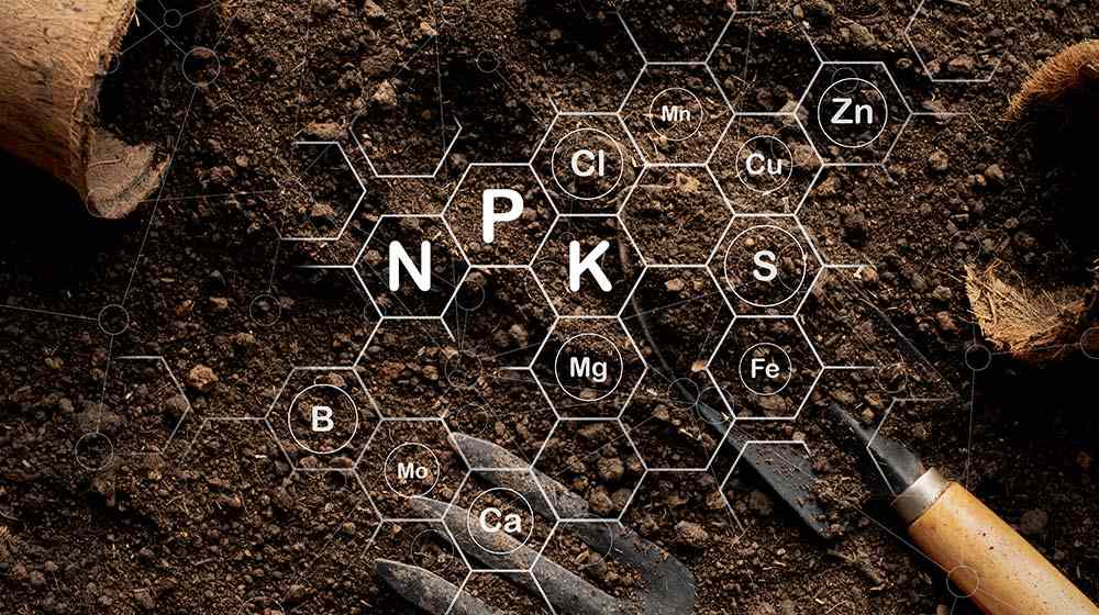 Biodegradable PET FANTASTIC ENTERPRISE CO.,LTD