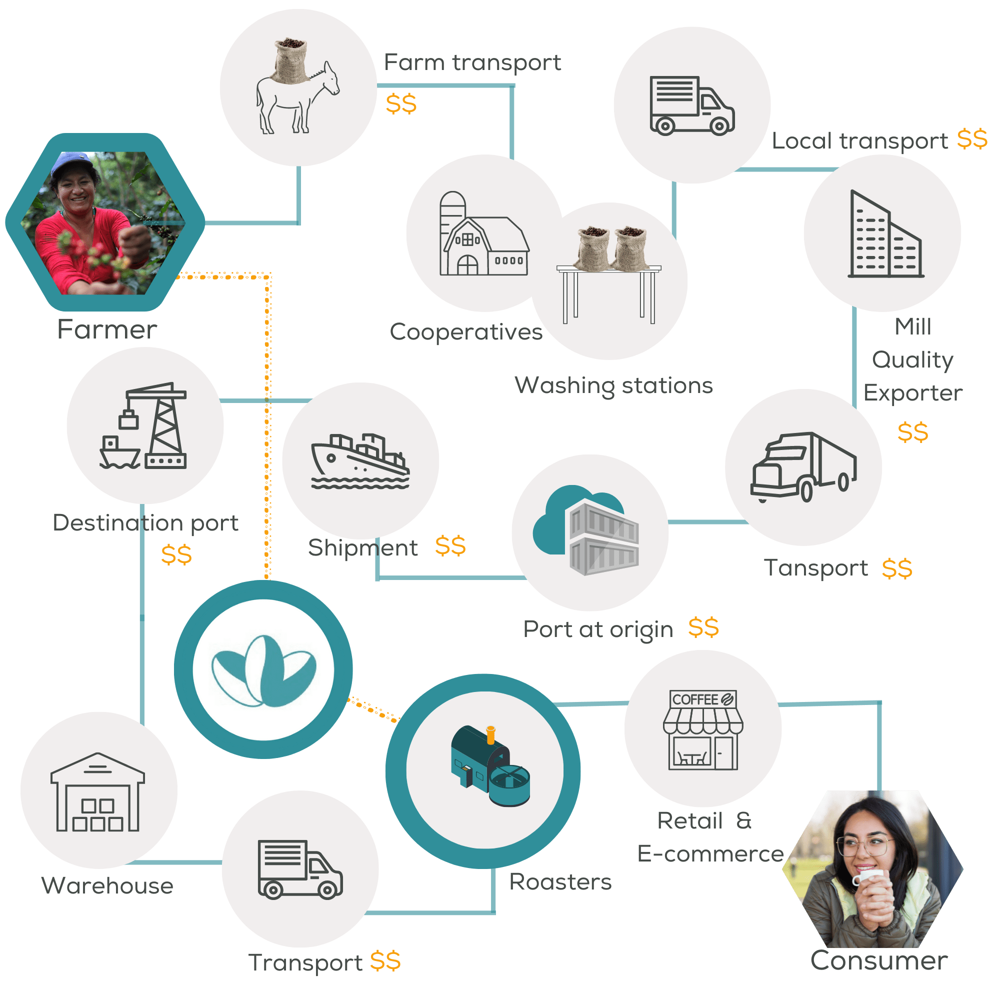 Transparency in the Coffee Value Chain Fantine
