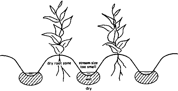 CHAPTER 3. FURROW IRRIGATION