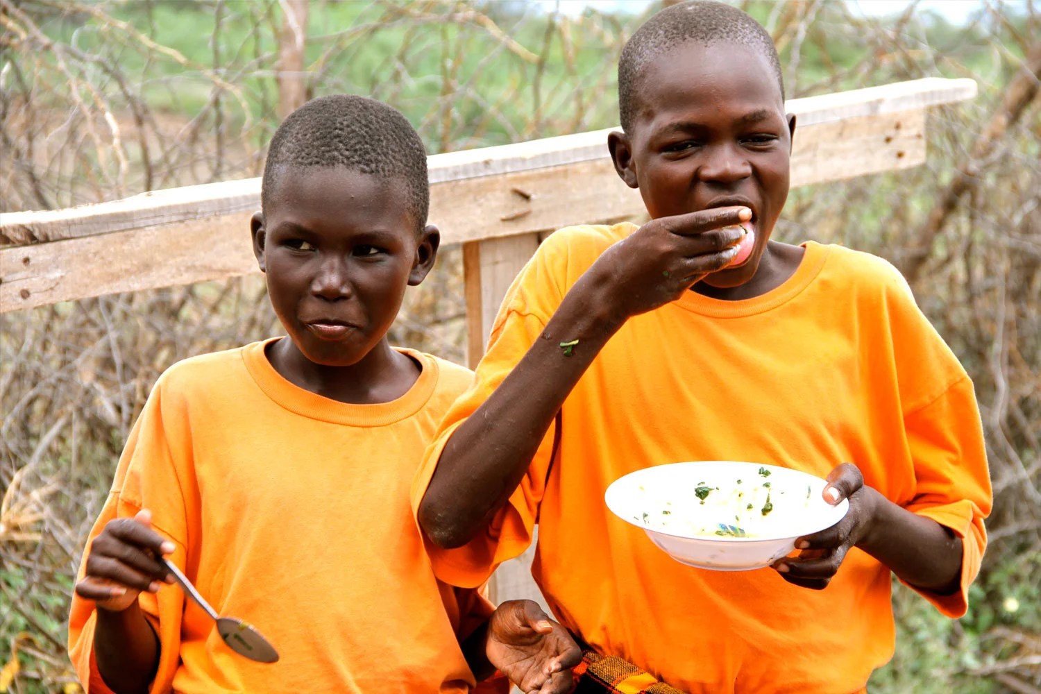 We help developing countries and countries in transition modernize and improve agriculture, forestry and fisheries practices and ensure good. Home Food And Agriculture Organization Of The United Nations