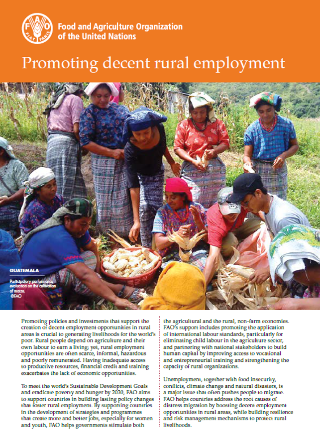 Plant Production and Protection Division ENPARD progress discussed