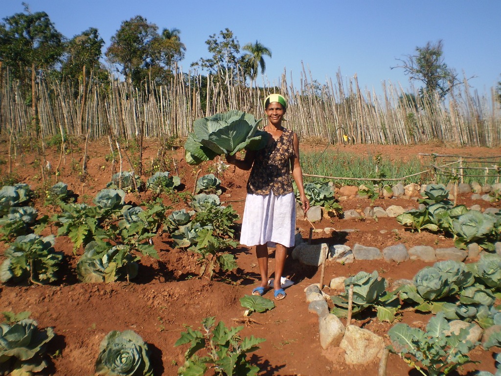 FAO Country Awards FAO Awards Food and Agriculture Organization of
