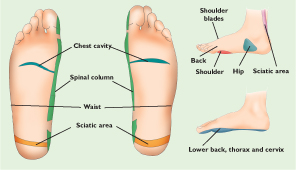 Check spelling or type a new query. Feet Parts Name