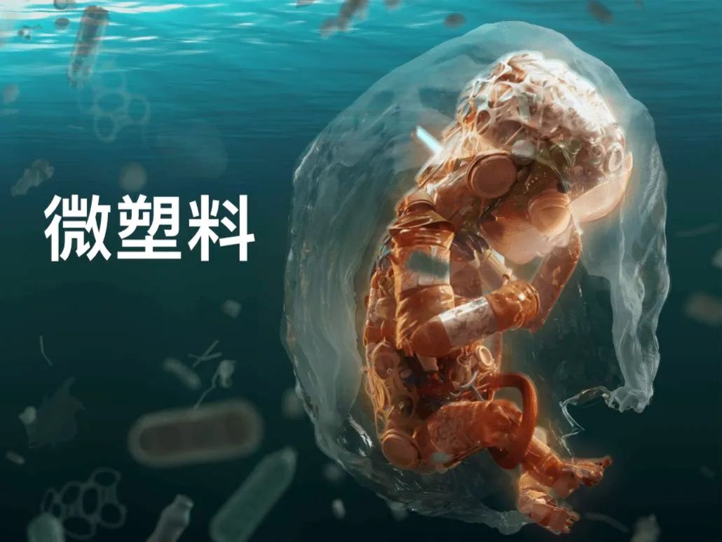 News Impact Of Plastics Scientists Found Micro Plastics In Human