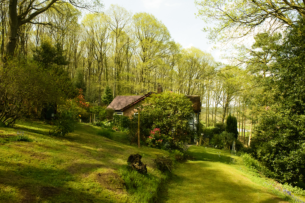 Far Forest Studio is based in a unique, secluded setting in the Wyre