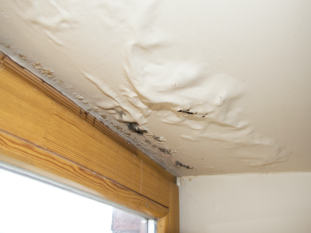 Water Leakage Repair and Services Le Fong Building Services