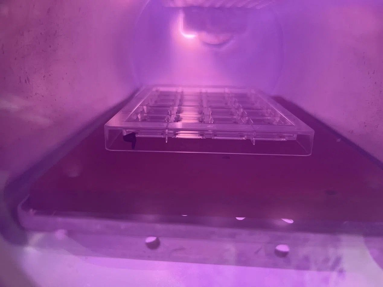 How To Use GD10 Plasma Cleaner Improve The Hydrophilic Of Medical PC Cell Culture Plate？ Fari