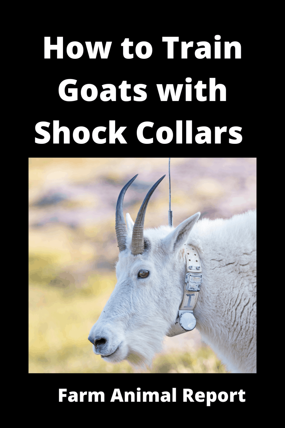 Do Shock Collars Work On Goats?