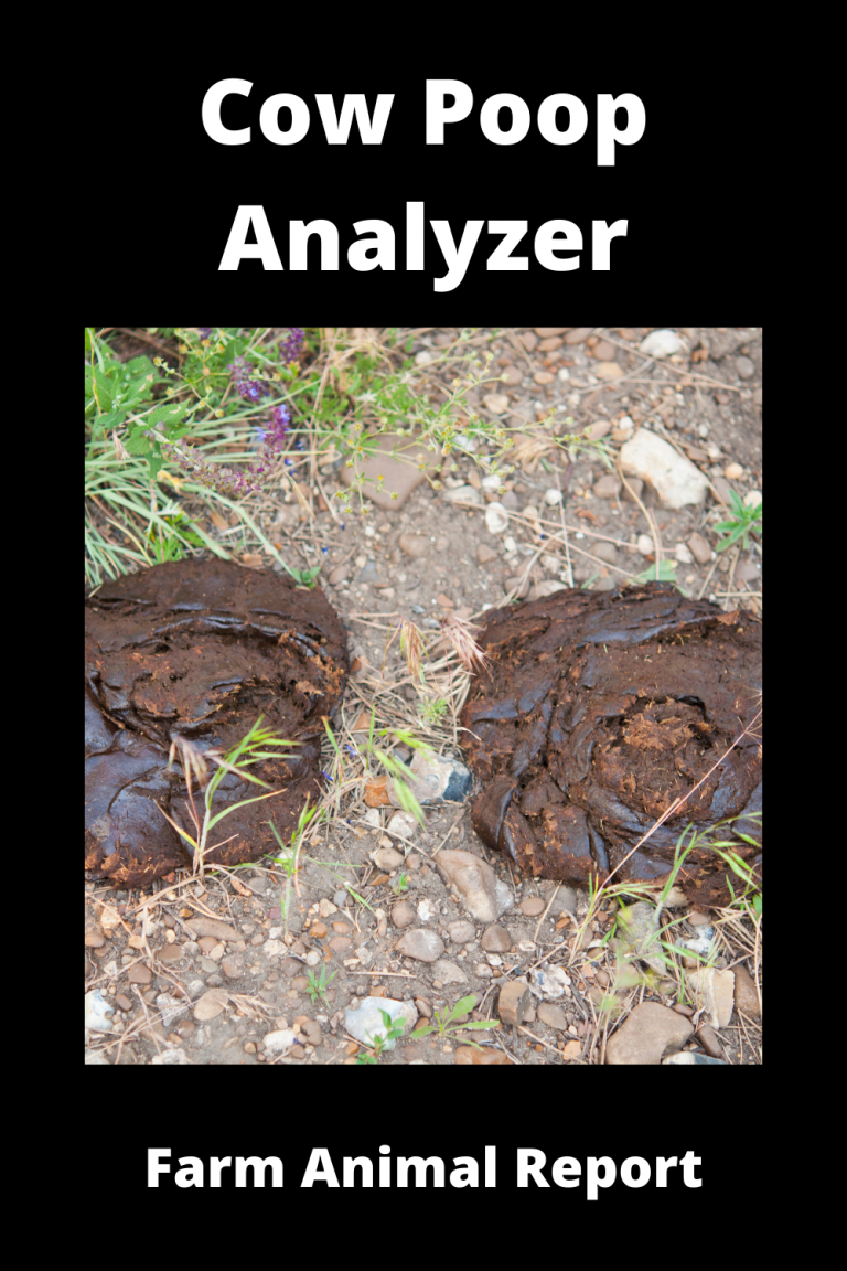 Cow Poop Analyzer Healthy Or Sick