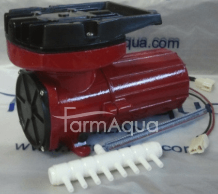 12 V DC blower - baanpramong