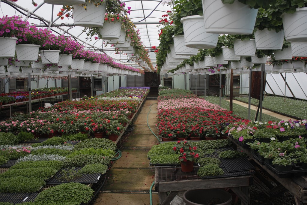 Farmer Al's Market & Greenhouses NJ School Plant Sale Fundraiser