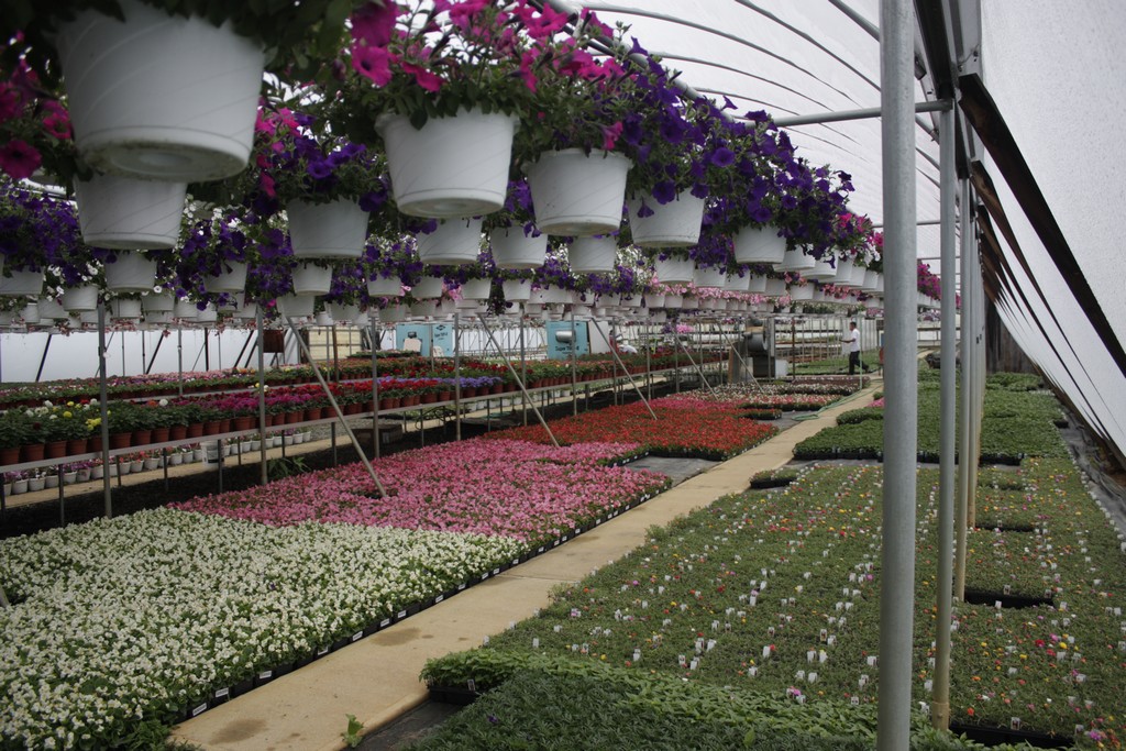 Farmer Al's Market & Greenhouses NJ School Plant Sale Fundraiser