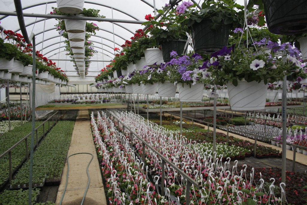 Farmer Al's Market & Greenhouses NJ School Plant Sale Fundraiser