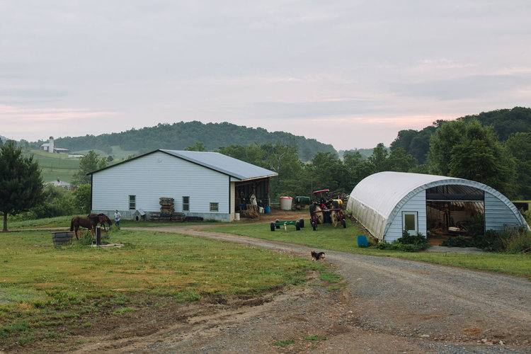 Meadow Stream Farm Farmer Focus