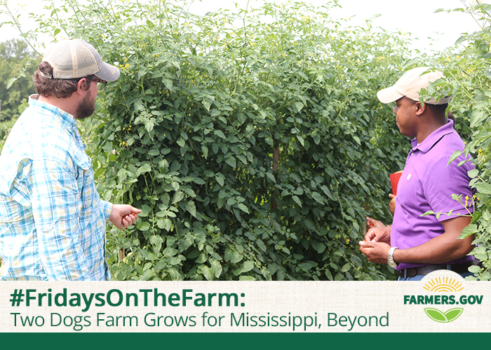 Two Dogs Farm Provides Food for Mississippi, Beyond Farmers.gov