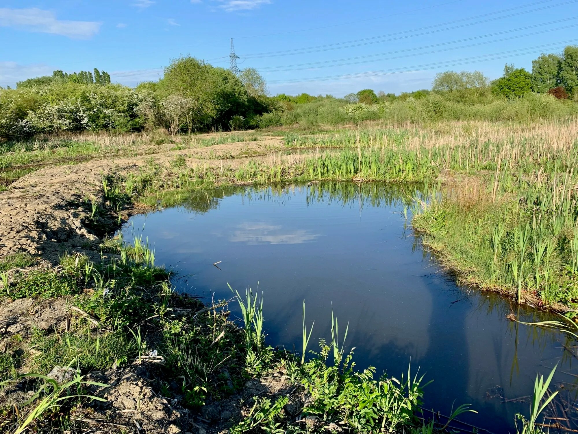 Farmers and landowners sought to help create ponds, and protect great