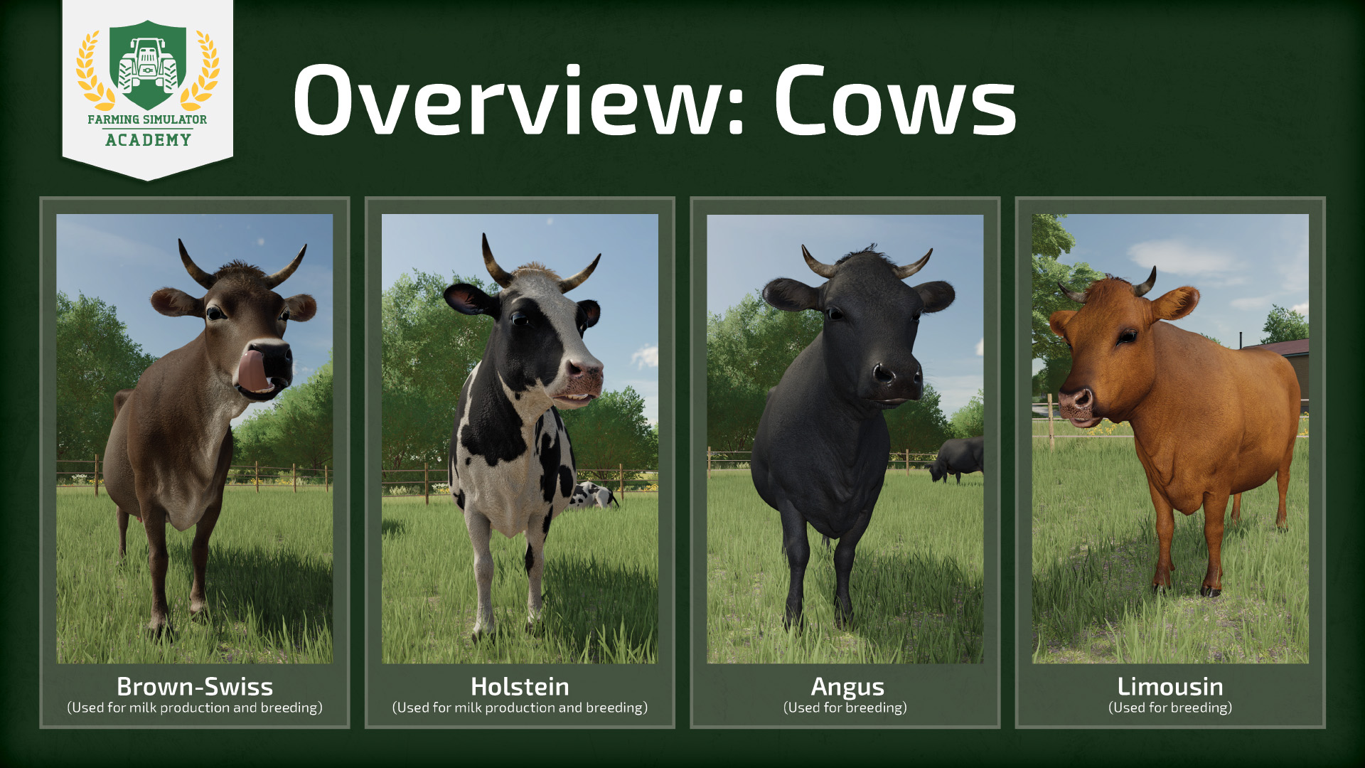 News Farming Simulator
