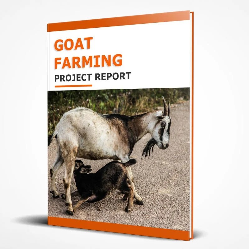 Goat Farming Project Report for Bank Loan Download PDF