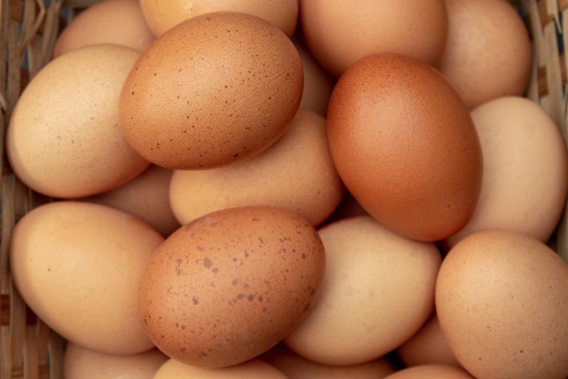 Meat, Poultry & Eggs