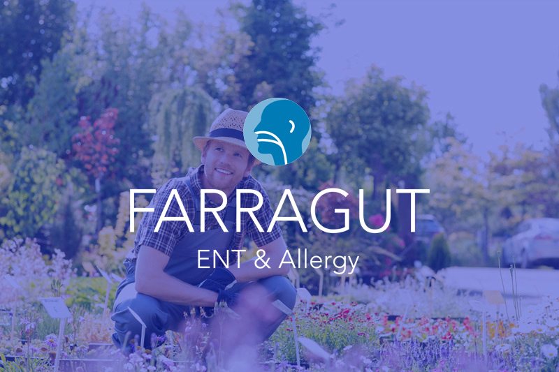 Allergist Knoxville Tn