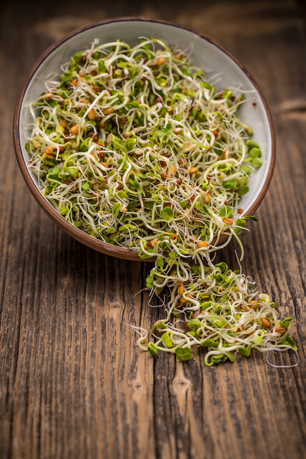 What Are Bean Sprouts Benefits, How To Make, Store In Simple Way