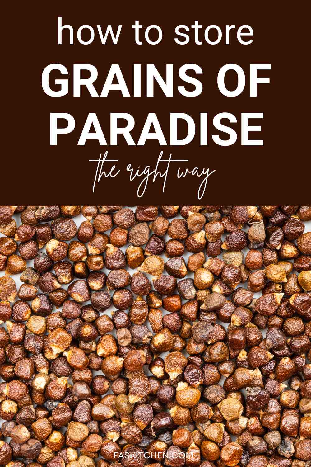 Grains of Paradise 101 Nutrition, Benefits, How To Use, Buy, Store Grains of Paradise A