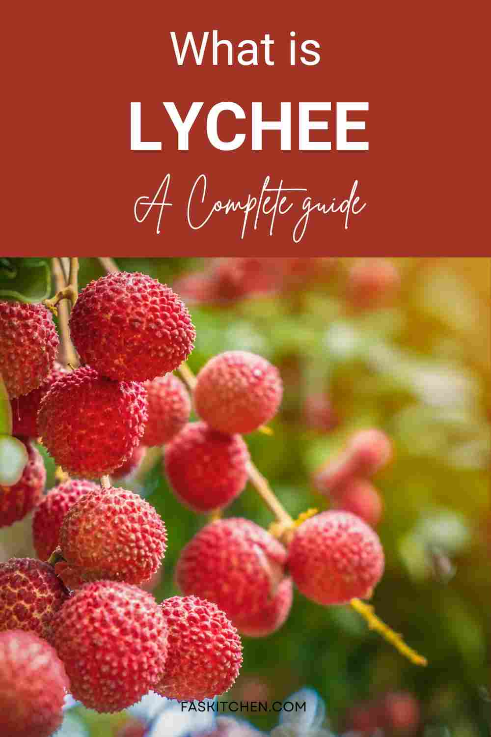Lychee 101 Nutrition, Benefits, How To Use, Buy, Store Lychee A