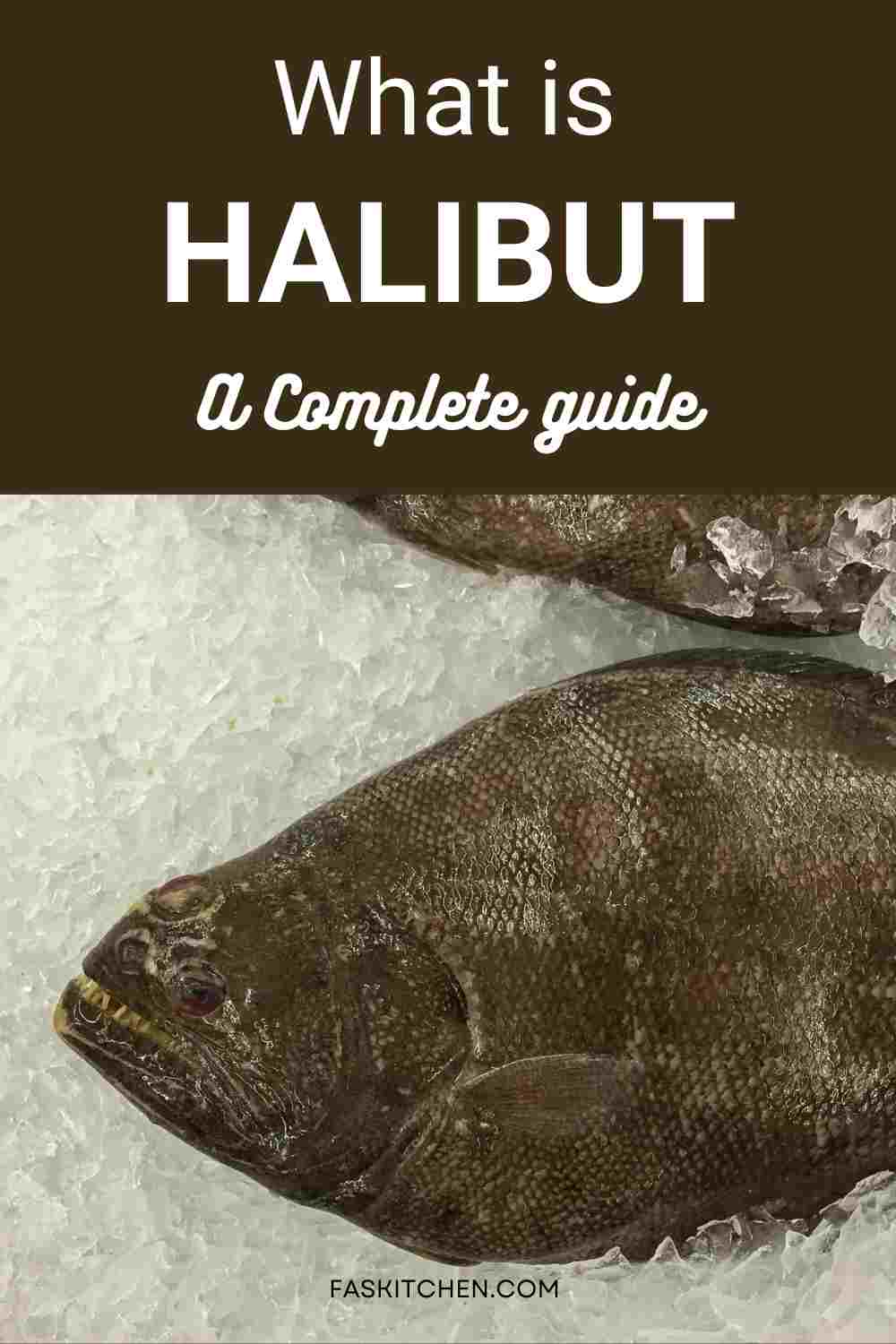 Halibut 101 Nutrition, Benefits, How To Use, Buy, Store Halibut A