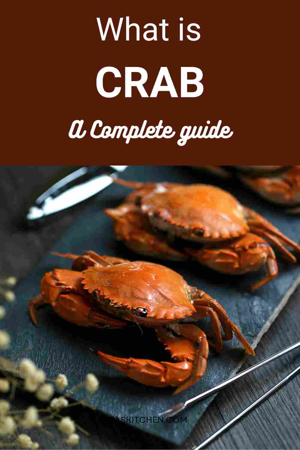 Crab 101 Nutrition, Benefits, How To Use, Buy, Store Crab A