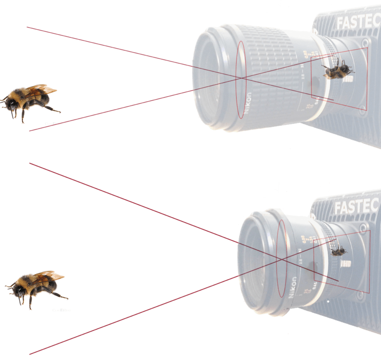 Magnification_Focal_Length | Fastec Imaging